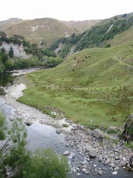 Pastoral River